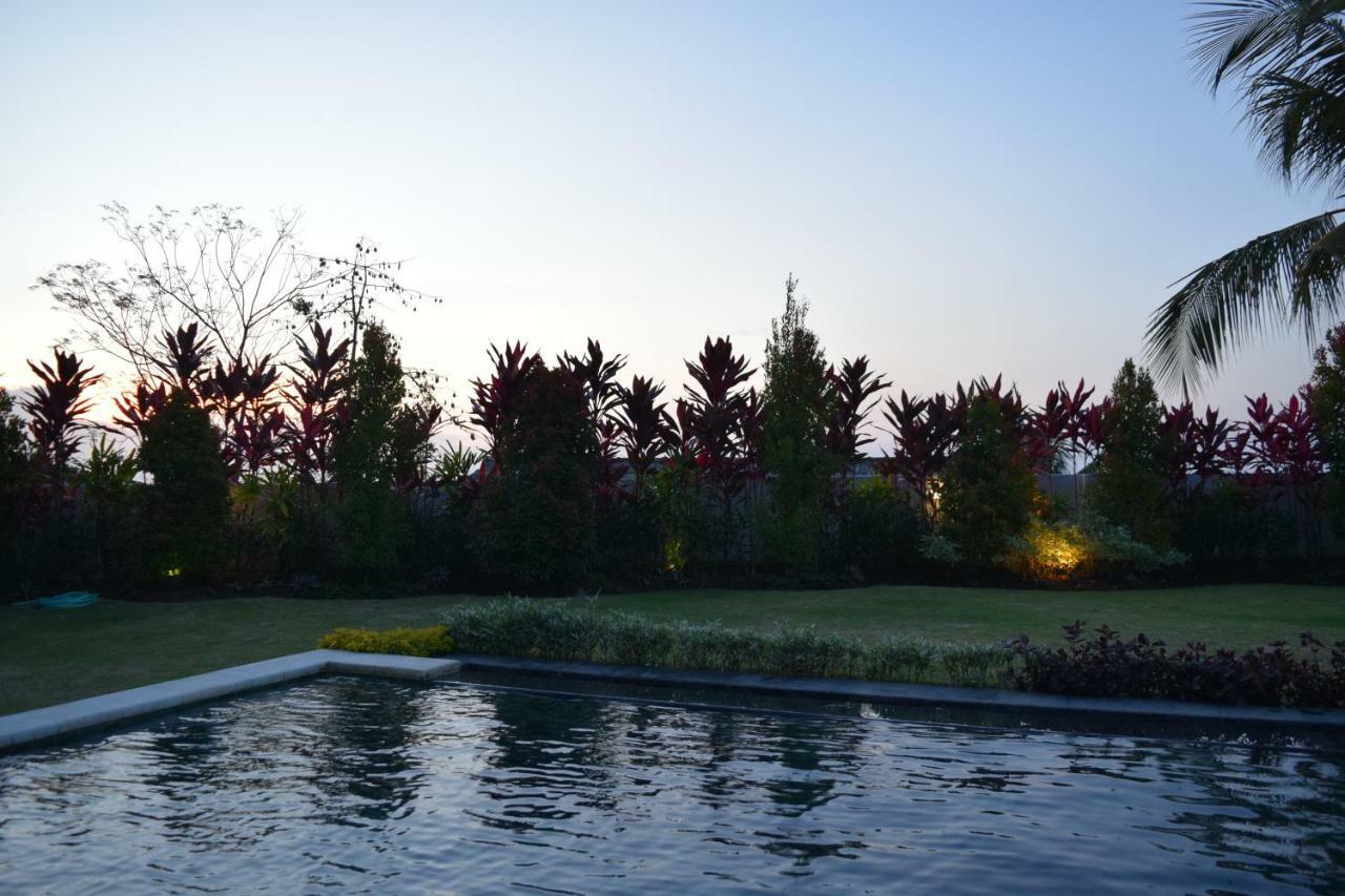 Villa Putih Lovina Exteriör bild